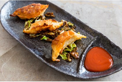 Gyoza Dumpling Kyckling